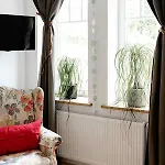 Hotell Harz-urlaubs-alm & Ferienhaeuser *