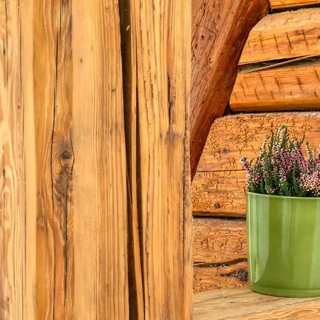 Harz-urlaubs-alm & Ferienhaeuser