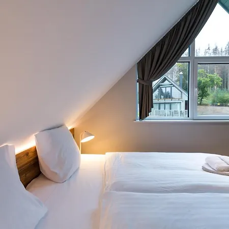 Harz-urlaubs-alm & Ferienhaeuser Клаусталь-Целлерфельд